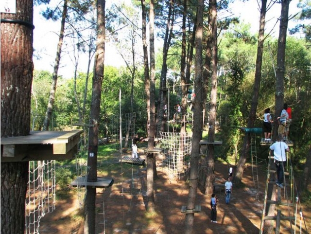 Venez prendre de la hauteur avec Adrenaline Parc